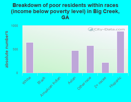 Breakdown of poor residents within races (income below poverty level) in Big Creek, GA