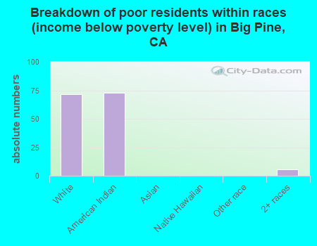 Breakdown of poor residents within races (income below poverty level) in Big Pine, CA