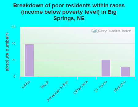 Breakdown of poor residents within races (income below poverty level) in Big Springs, NE