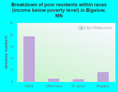 Breakdown of poor residents within races (income below poverty level) in Bigelow, MN