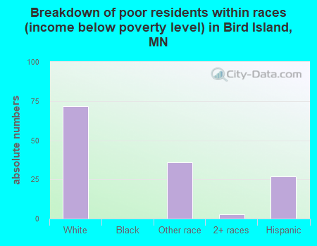 Breakdown of poor residents within races (income below poverty level) in Bird Island, MN