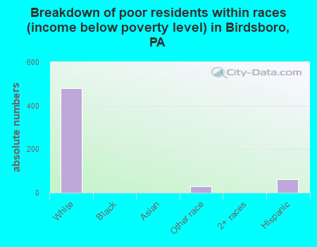 Breakdown of poor residents within races (income below poverty level) in Birdsboro, PA
