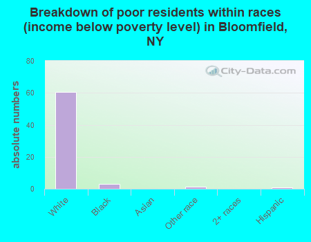 Breakdown of poor residents within races (income below poverty level) in Bloomfield, NY