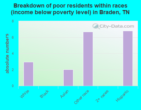 Breakdown of poor residents within races (income below poverty level) in Braden, TN