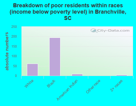 Breakdown of poor residents within races (income below poverty level) in Branchville, SC