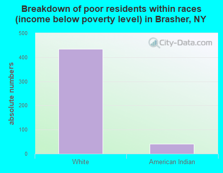 Breakdown of poor residents within races (income below poverty level) in Brasher, NY