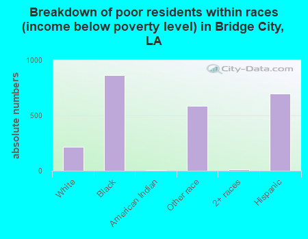 Breakdown of poor residents within races (income below poverty level) in Bridge City, LA