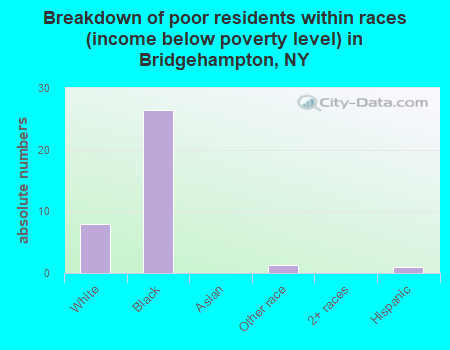 Breakdown of poor residents within races (income below poverty level) in Bridgehampton, NY
