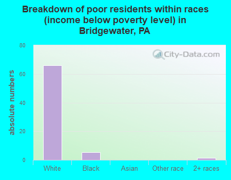 Breakdown of poor residents within races (income below poverty level) in Bridgewater, PA