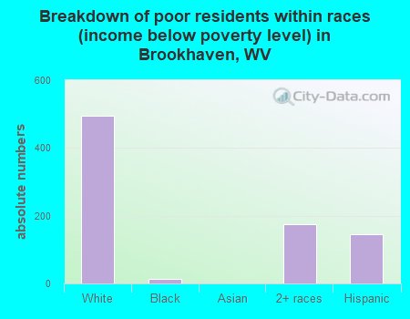 Breakdown of poor residents within races (income below poverty level) in Brookhaven, WV