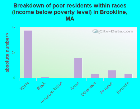 Breakdown of poor residents within races (income below poverty level) in Brookline, MA
