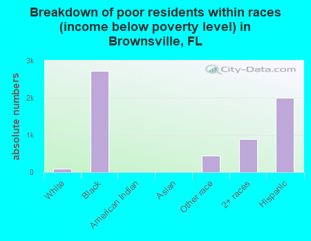 Breakdown of poor residents within races (income below poverty level) in Brownsville, FL