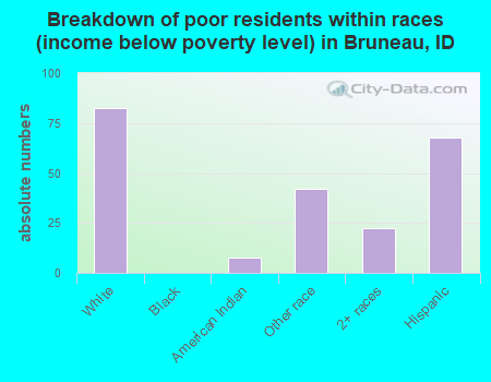 Breakdown of poor residents within races (income below poverty level) in Bruneau, ID