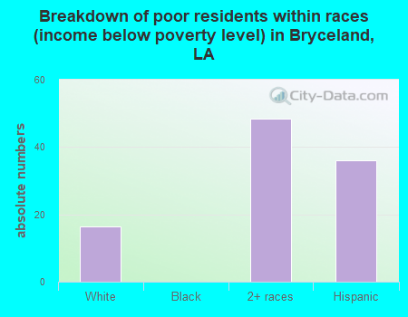 Breakdown of poor residents within races (income below poverty level) in Bryceland, LA