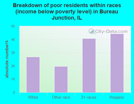 Breakdown of poor residents within races (income below poverty level) in Bureau Junction, IL