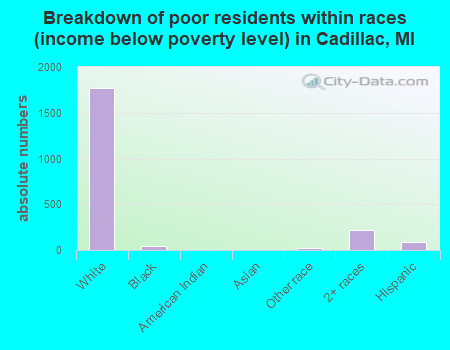 Breakdown of poor residents within races (income below poverty level) in Cadillac, MI