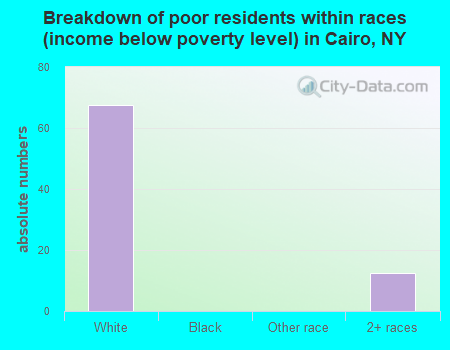Breakdown of poor residents within races (income below poverty level) in Cairo, NY