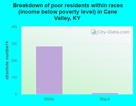 Breakdown of poor residents within races (income below poverty level) in Cane Valley, KY