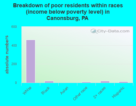 Breakdown of poor residents within races (income below poverty level) in Canonsburg, PA