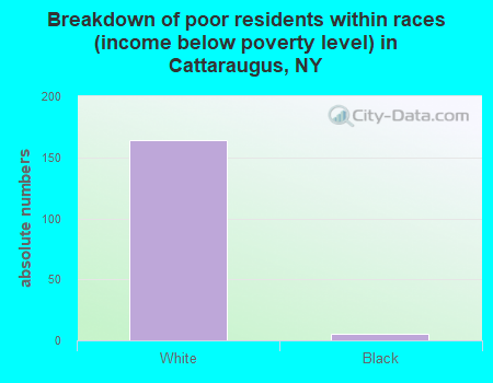 Breakdown of poor residents within races (income below poverty level) in Cattaraugus, NY