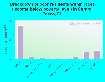 Breakdown of poor residents within races (income below poverty level) in Central Pasco, FL