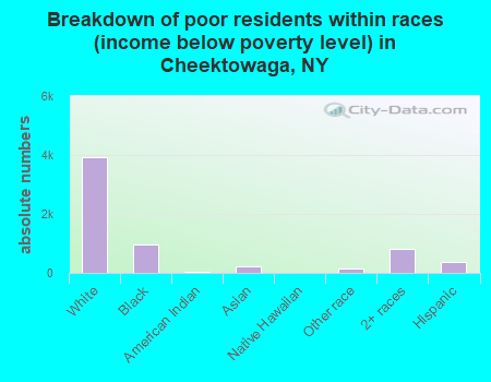 Breakdown of poor residents within races (income below poverty level) in Cheektowaga, NY