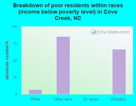Breakdown of poor residents within races (income below poverty level) in Cove Creek, NC