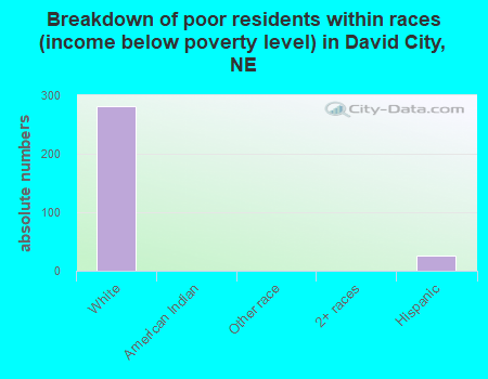 Breakdown of poor residents within races (income below poverty level) in David City, NE