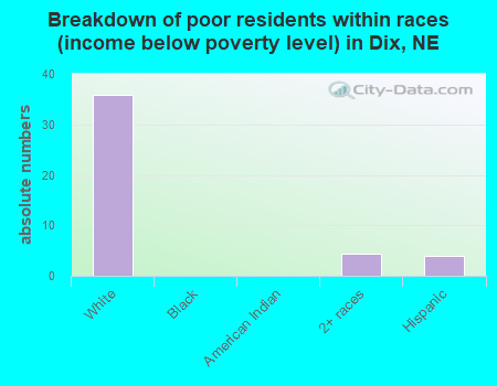 Breakdown of poor residents within races (income below poverty level) in Dix, NE