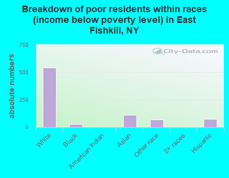 Breakdown of poor residents within races (income below poverty level) in East Fishkill, NY