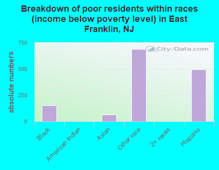 Breakdown of poor residents within races (income below poverty level) in East Franklin, NJ