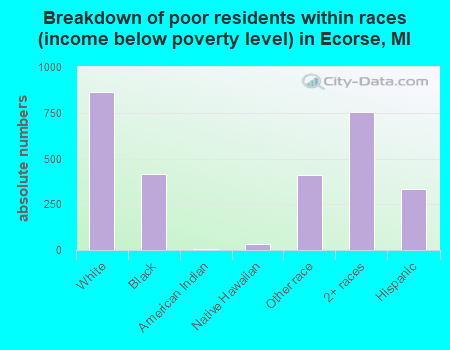 Breakdown of poor residents within races (income below poverty level) in Ecorse, MI