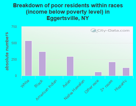 Breakdown of poor residents within races (income below poverty level) in Eggertsville, NY