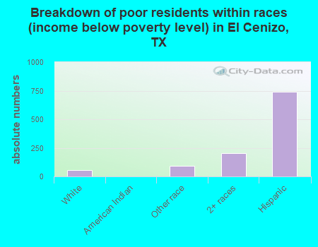 Breakdown of poor residents within races (income below poverty level) in El Cenizo, TX