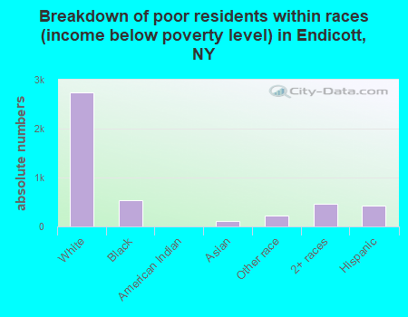 Breakdown of poor residents within races (income below poverty level) in Endicott, NY