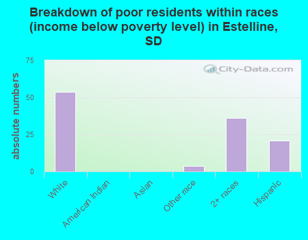 Breakdown of poor residents within races (income below poverty level) in Estelline, SD