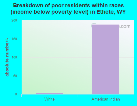 Breakdown of poor residents within races (income below poverty level) in Ethete, WY