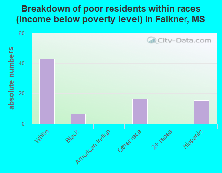 Breakdown of poor residents within races (income below poverty level) in Falkner, MS