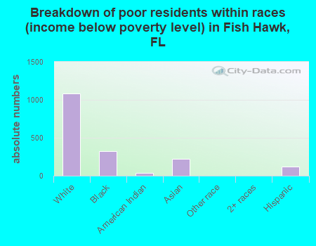 Breakdown of poor residents within races (income below poverty level) in Fish Hawk, FL