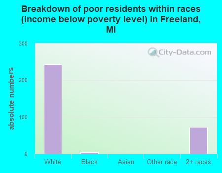 Breakdown of poor residents within races (income below poverty level) in Freeland, MI