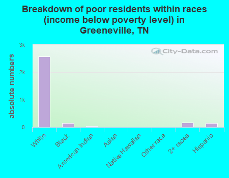 Breakdown of poor residents within races (income below poverty level) in Greeneville, TN