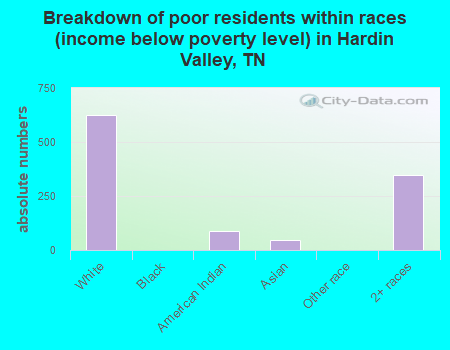 Breakdown of poor residents within races (income below poverty level) in Hardin Valley, TN