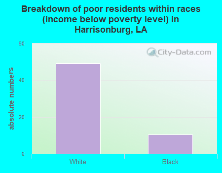 Breakdown of poor residents within races (income below poverty level) in Harrisonburg, LA