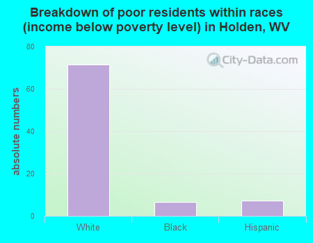Breakdown of poor residents within races (income below poverty level) in Holden, WV