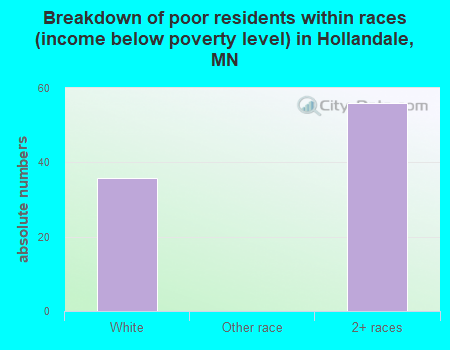 Breakdown of poor residents within races (income below poverty level) in Hollandale, MN