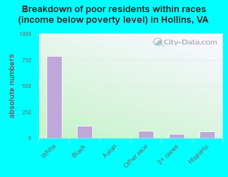 Breakdown of poor residents within races (income below poverty level) in Hollins, VA