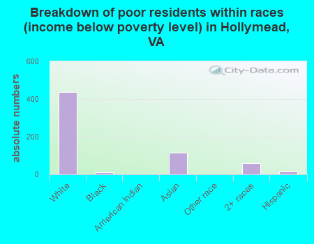 Breakdown of poor residents within races (income below poverty level) in Hollymead, VA