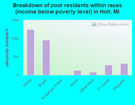 Breakdown of poor residents within races (income below poverty level) in Holt, MI