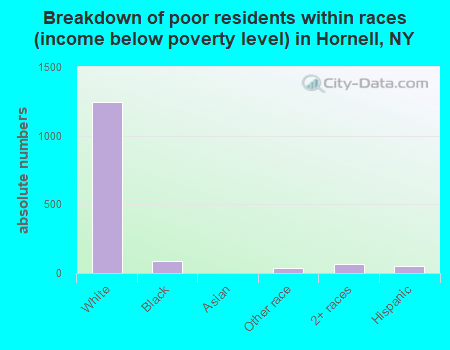 Breakdown of poor residents within races (income below poverty level) in Hornell, NY
