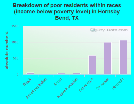 Breakdown of poor residents within races (income below poverty level) in Hornsby Bend, TX